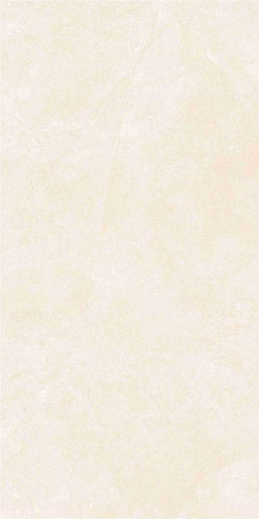 OL Marfil Polished 24 x 48